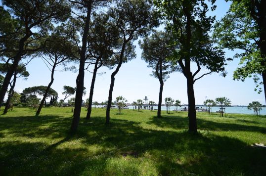 Sant'Elena Griffon