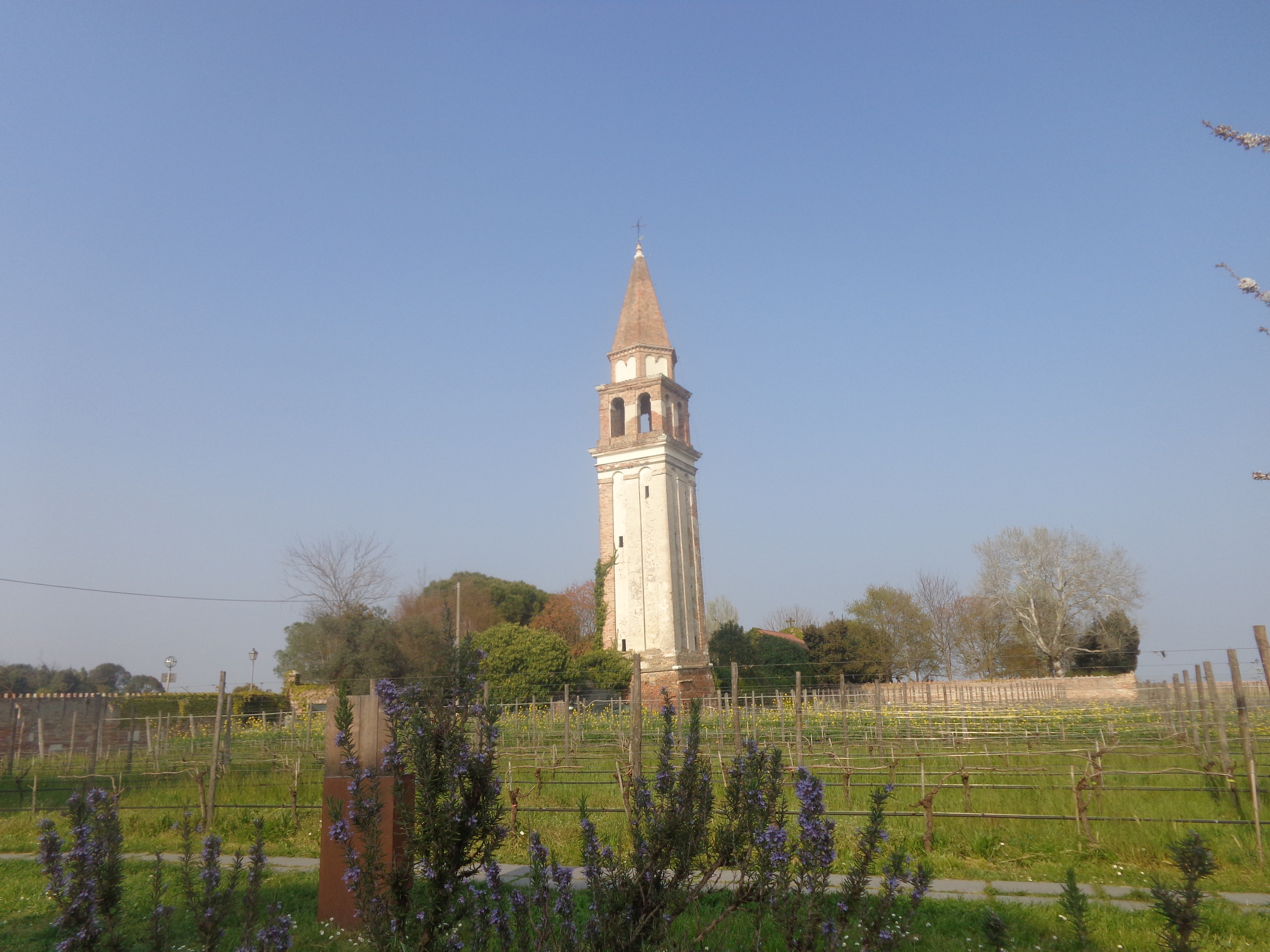 Mazzorbo2